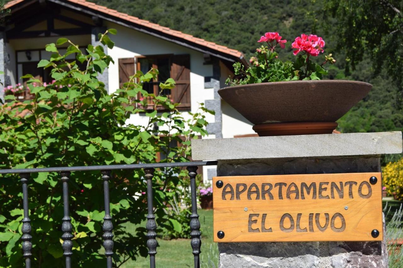 Excepcional Apartamento El Olivo Ojedo Exterior foto